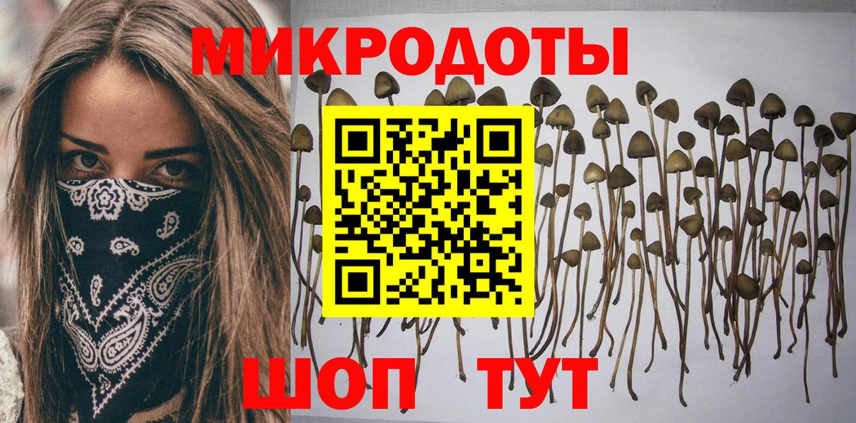 Чехов  Галлюциногенные грибы мухоморы  Вход с VPN 